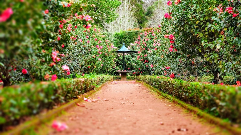 Gartenbau und Sommergärten
